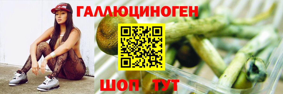 как найти наркотики  Вход с VPN  Барабинск  Псилоцибиновые грибы Cubensis  Псилоцибиновые грибы Cubensis 